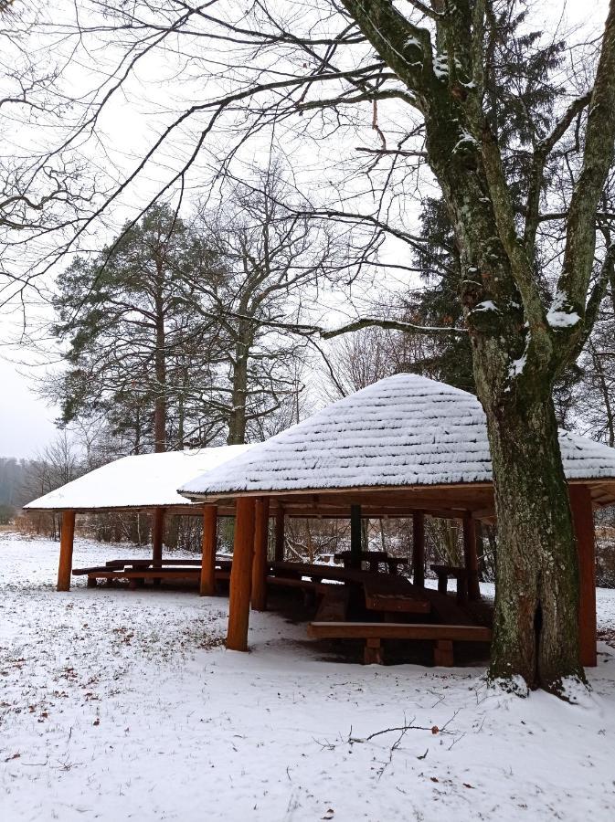 Siedlisko Gruszki Puszcza Bialowieska Narewka Εξωτερικό φωτογραφία